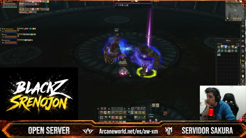 srenojon Lineage 2 stream image