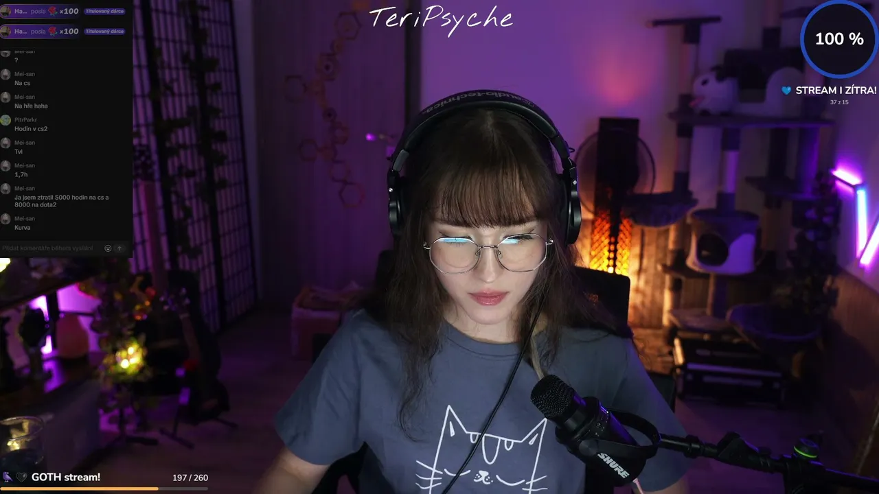 Dneska už to dohraju fr fr | Instagram: TeriPsyche
