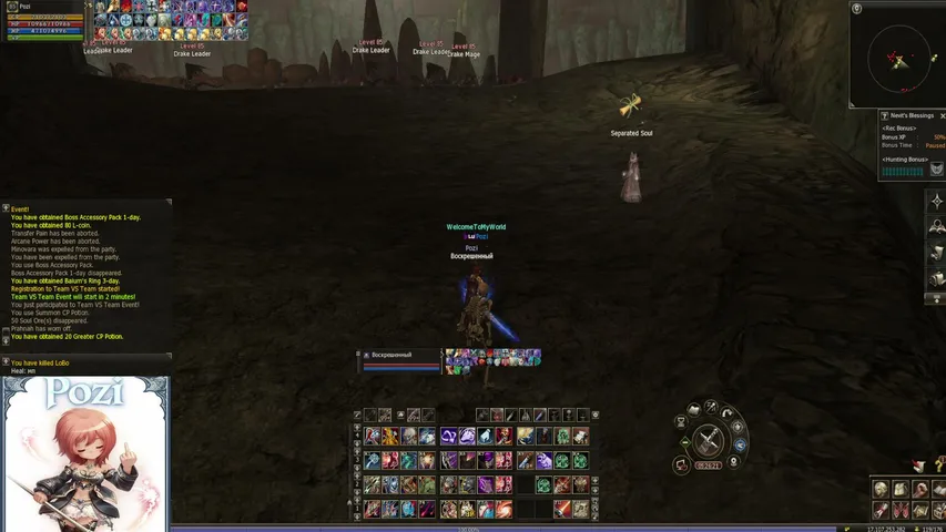 pozibb Lineage 2 stream image
