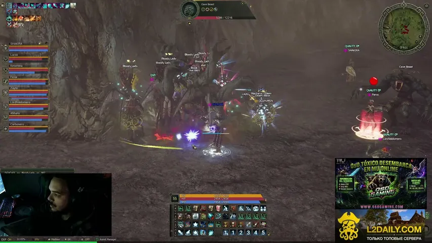 dizzcool Lineage 2 stream image