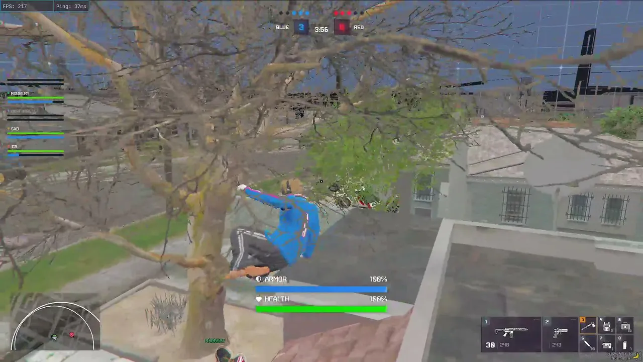 someone live stream