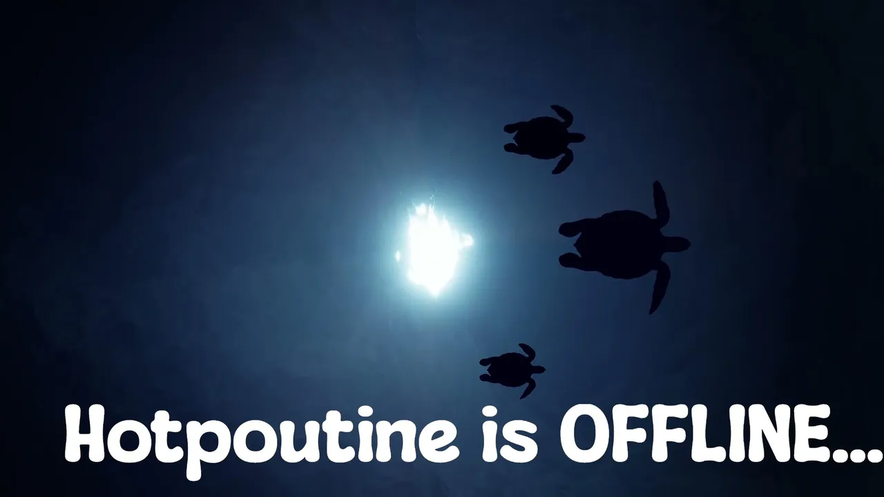 Hotpoutine live