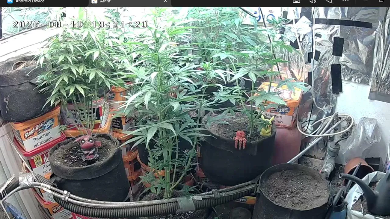 FreakkRed22