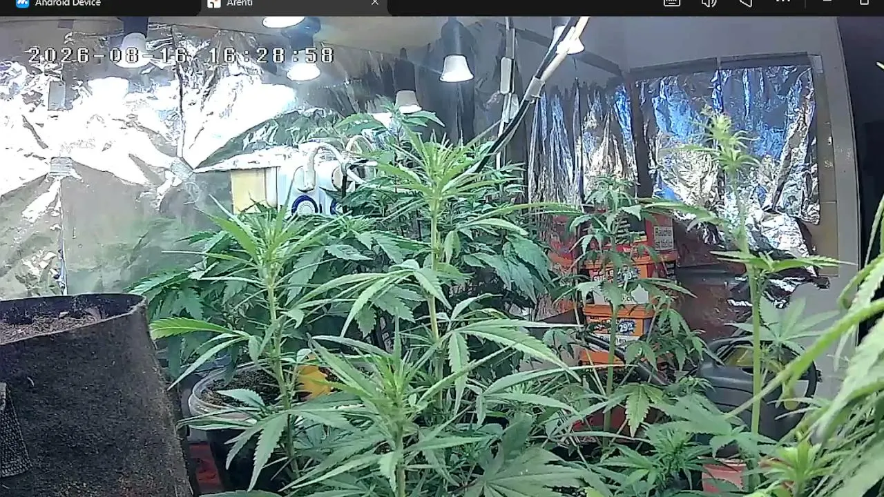 FreakkRed22