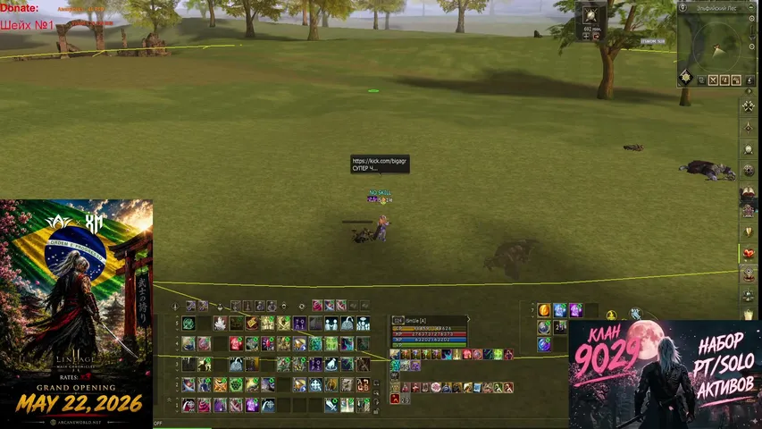 bigagr Lineage 2 stream image