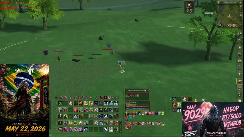 bigagr Lineage 2 stream image
