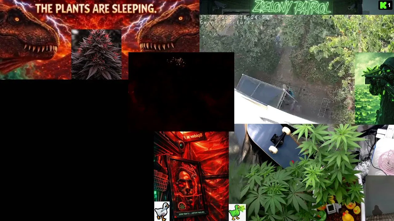 ZielonyPatrol