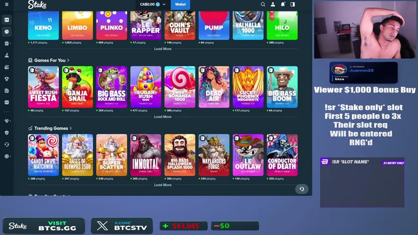 Live preview of btcs's Kick stream