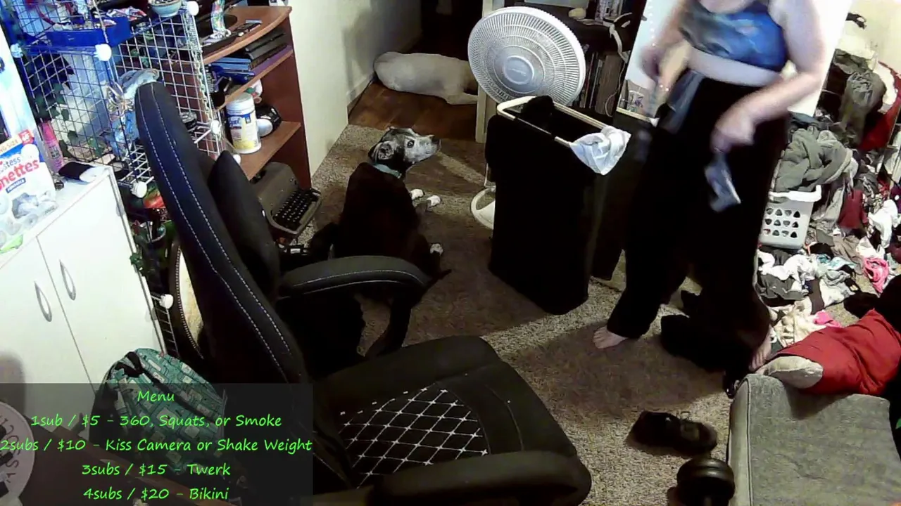 dark_fay_wolf live