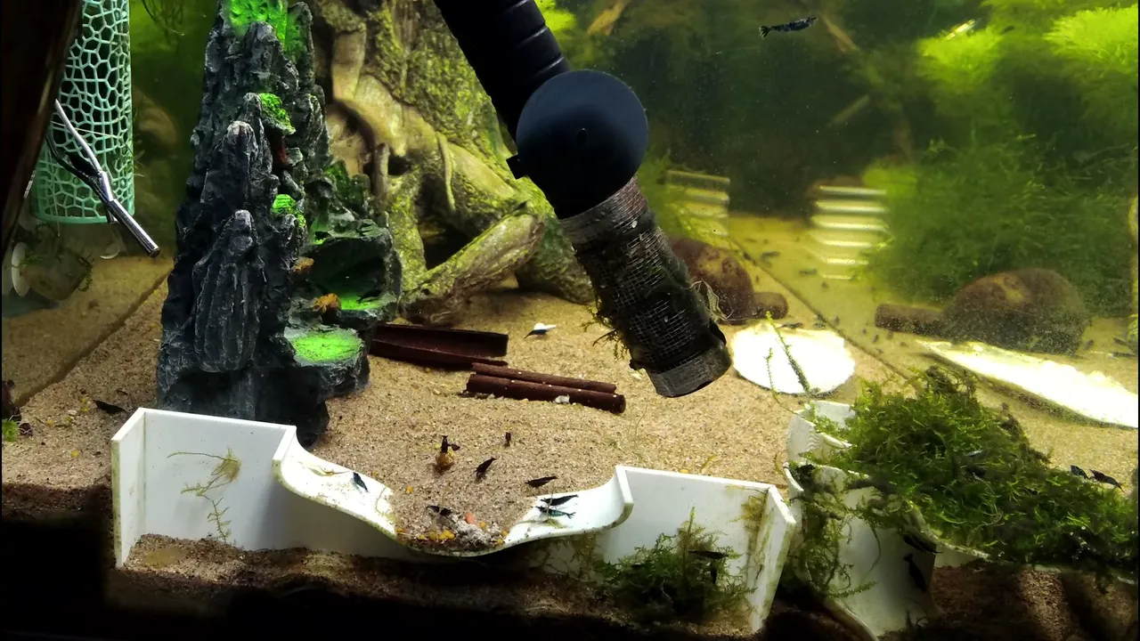 ShrimpEmpire