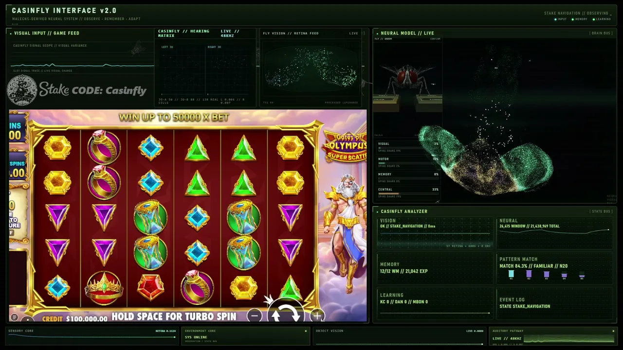 CasinFly live