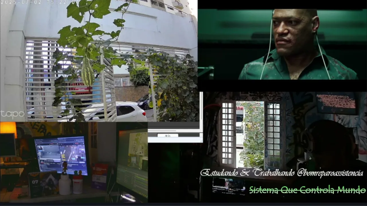 escolagratuita live