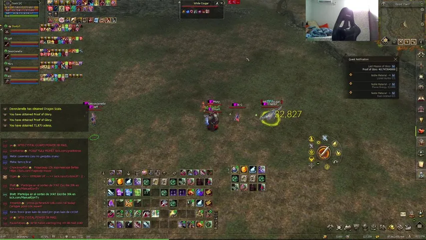 waterxdmain Lineage 2 stream image