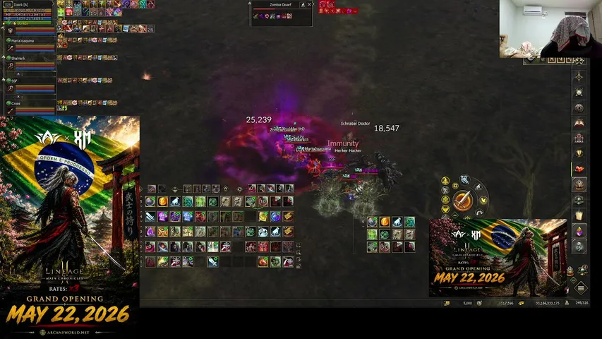 waterxdmain Lineage 2 stream image