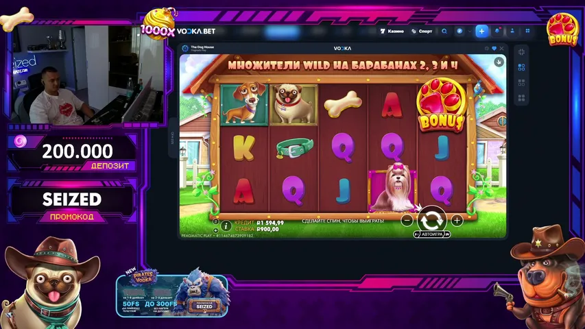 seized playing Slots & Casino - Live Casino Stream