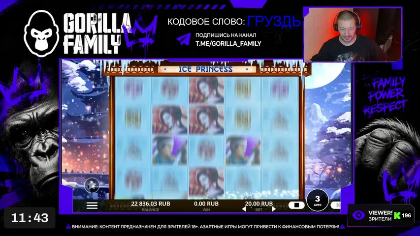 gorilla-family playing Slots & Casino - Live Casino Stream