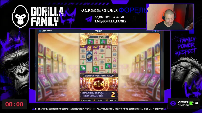 gorilla-family playing Slots & Casino - Live Casino Stream