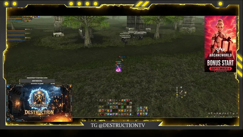 destructiontv Lineage 2 stream image