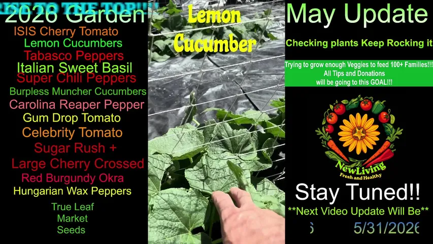 Rocket League + MultiGaming + Garden Updates 26168