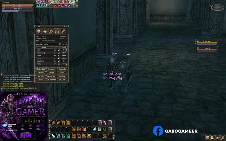 gabogameer Lineage 2 stream image