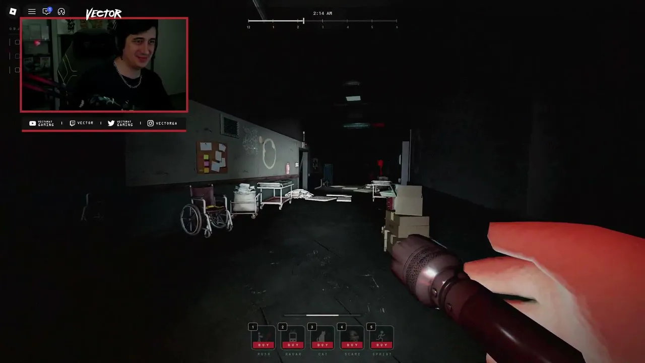 Vector live stream