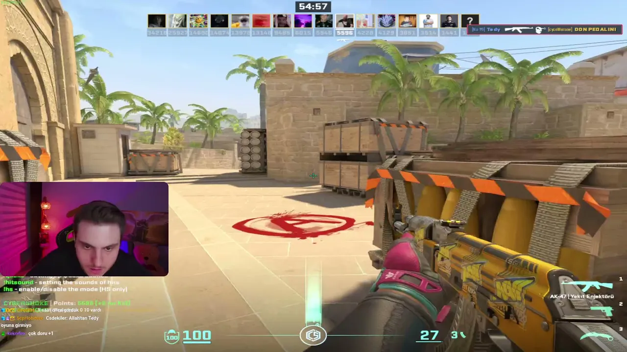 Tedy live stream