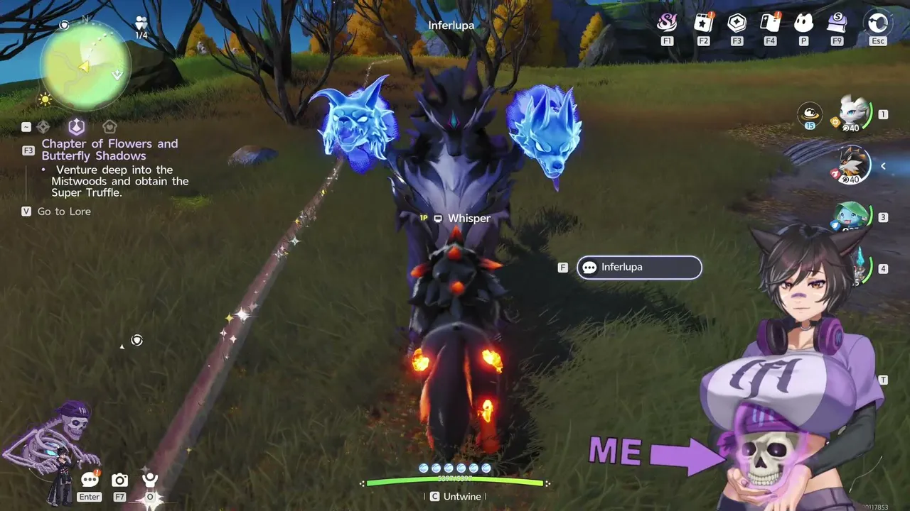 ALuckyWhisper live