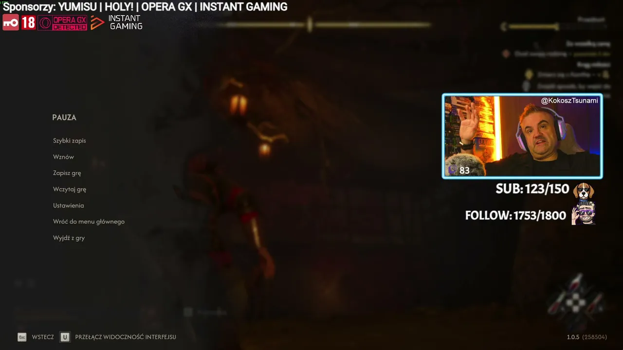 Kokosz_Tsunami live