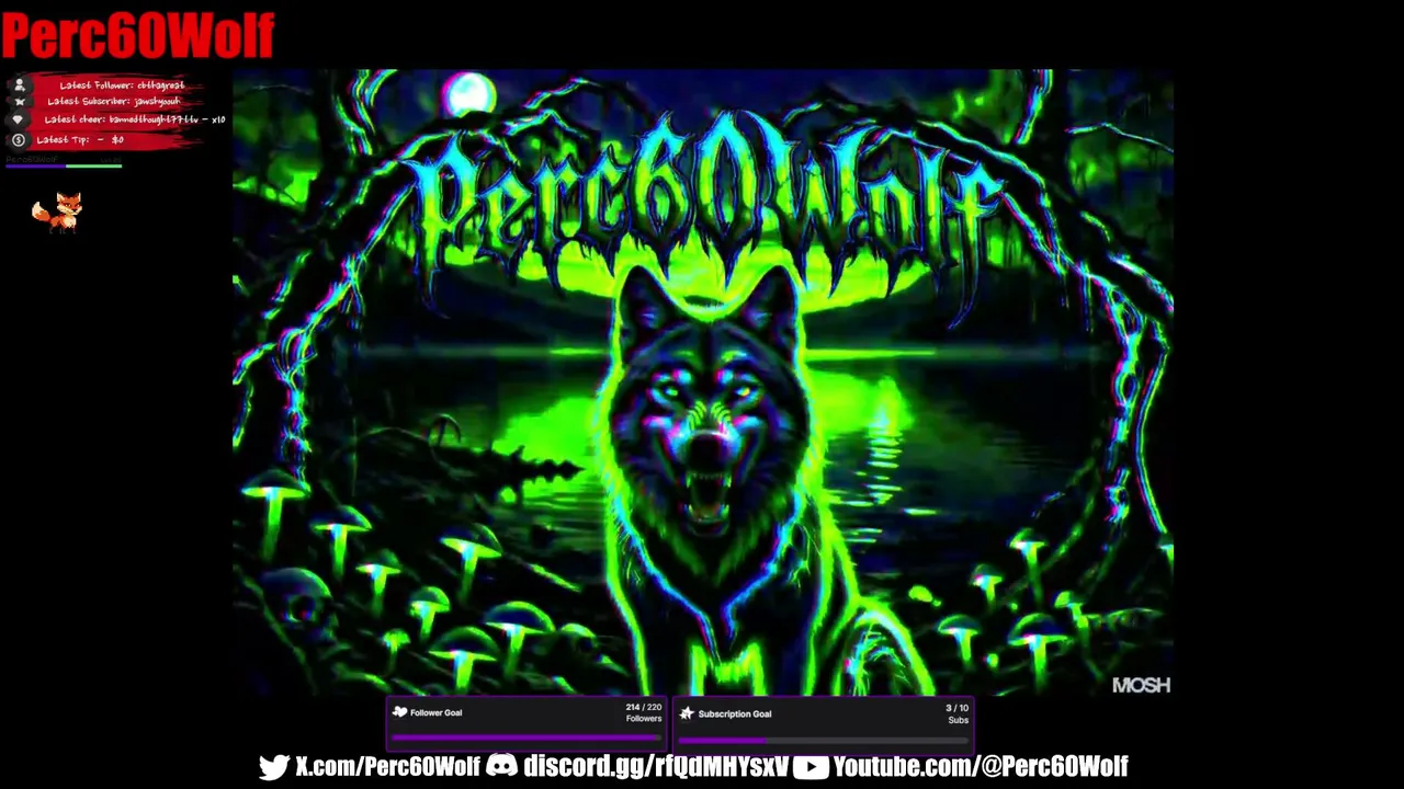Perc60Wolf live