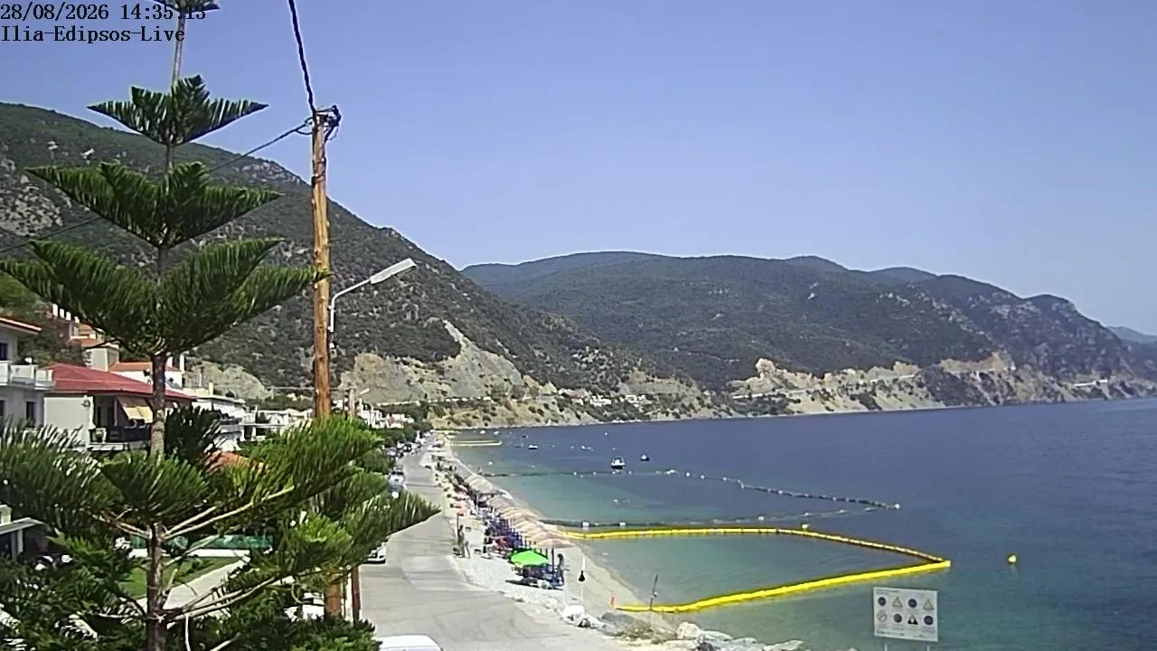 iliamare live