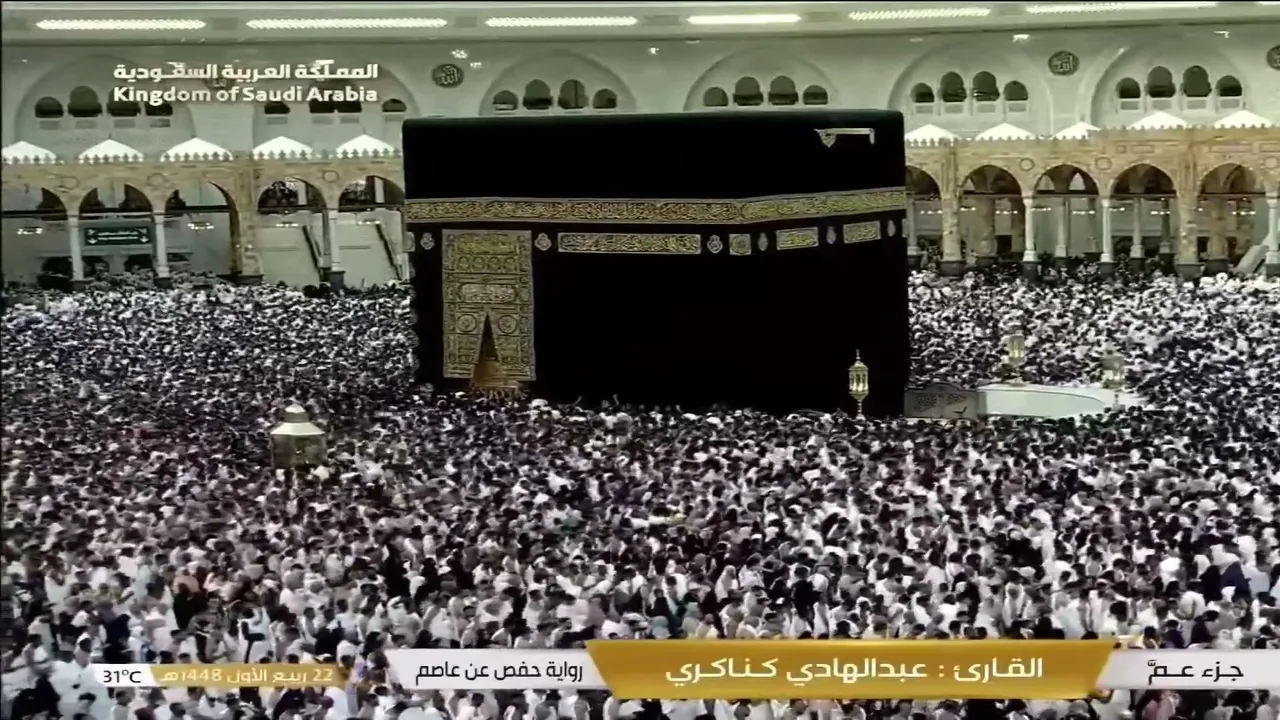 ABOGARI live