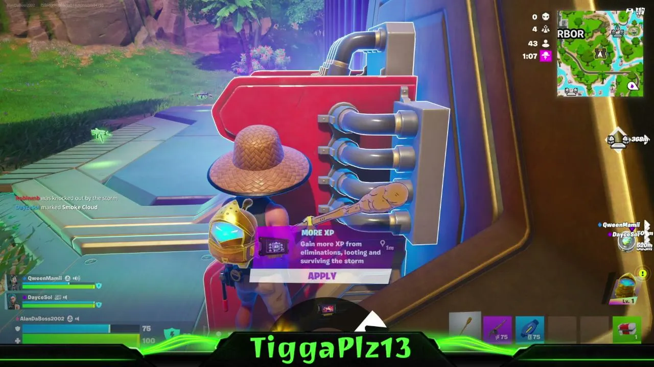 TiggaPlz13 live