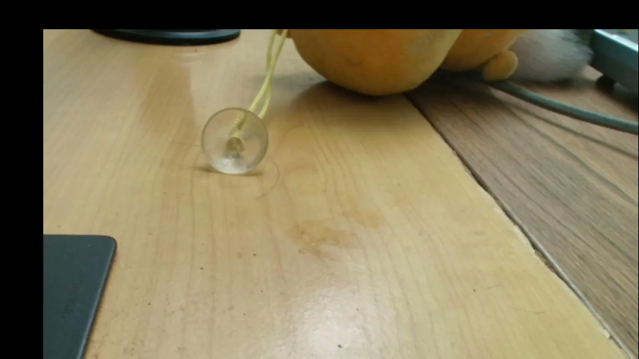 dodocococo