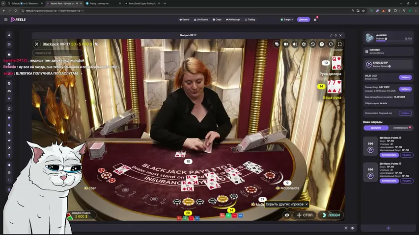 sadcatgamble playing Slots & Casino - Live Casino Stream