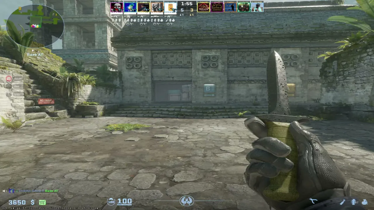 zzcoki live stream