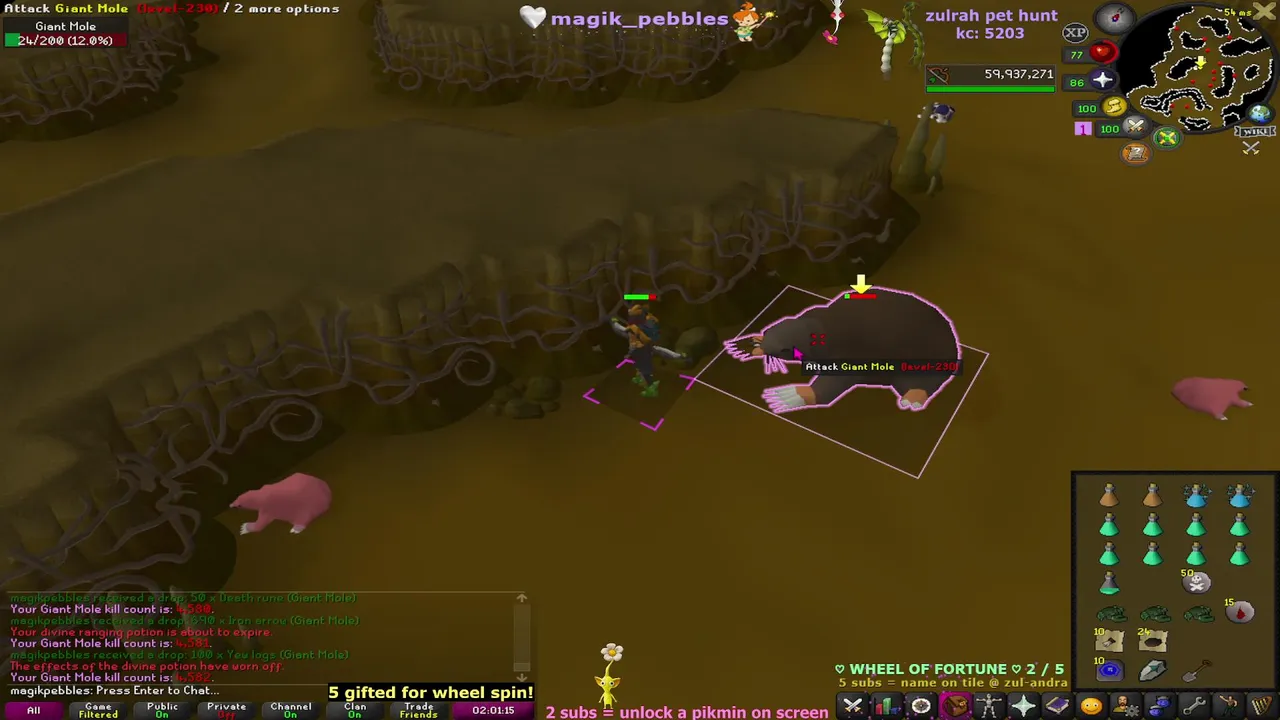 magik_pebbles live