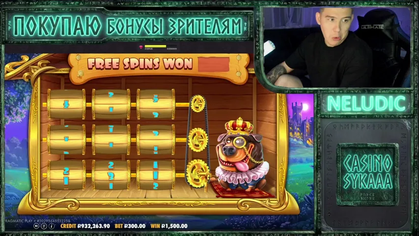 neludic playing Slots & Casino - Live Casino Stream