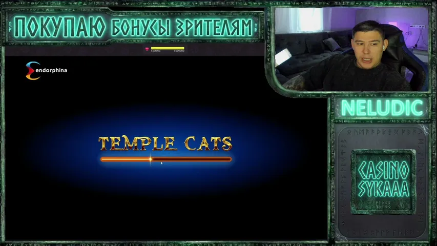 neludic playing Slots & Casino - Live Casino Stream