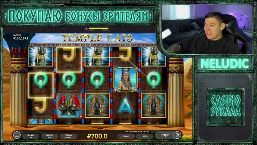 neludic playing Slots & Casino - Live Casino Stream
