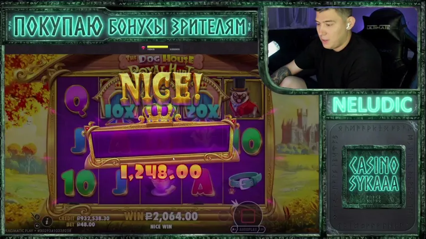 neludic playing Slots & Casino - Live Casino Stream