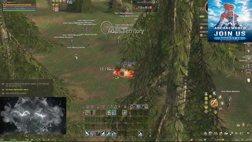 iguinzera Lineage 2 stream image