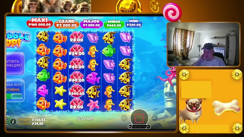LudoMax90 playing Slots & Casino - Live Casino Stream