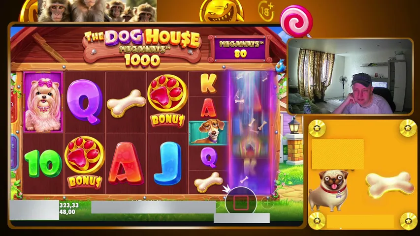 LudoMax90 playing Slots & Casino - Live Casino Stream