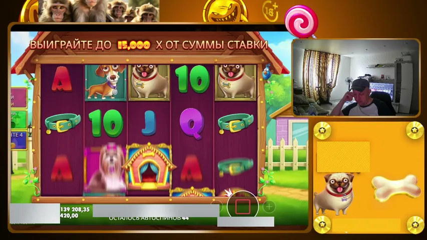 LudoMax90 playing Slots & Casino - Live Casino Stream