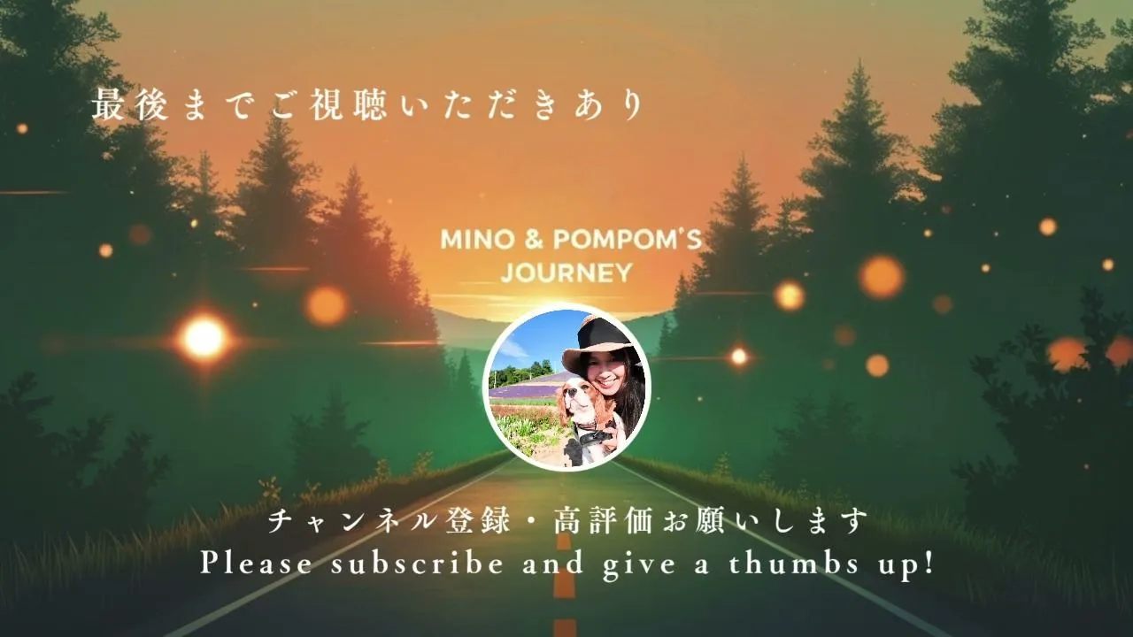 mino56jp live