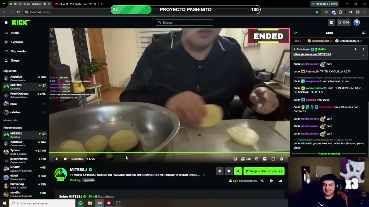 pashino live