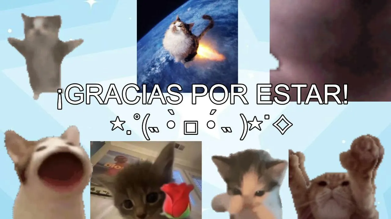 ArtisCatty