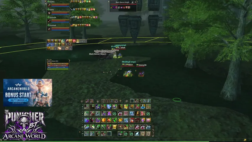 punisherbt Lineage 2 stream image