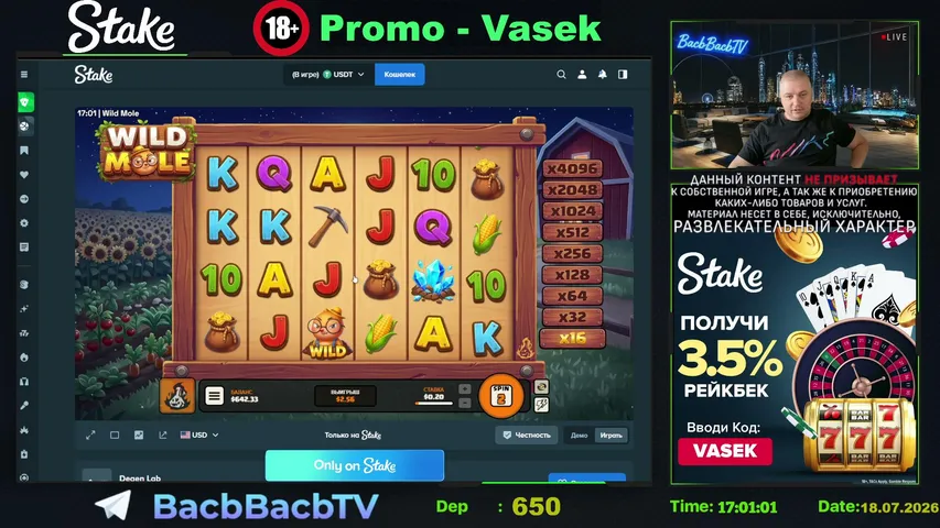 STAKE - promo Vasek | Слоты пополам со зрителями | !TG !Vodka !Stake !ПОКЕРОК