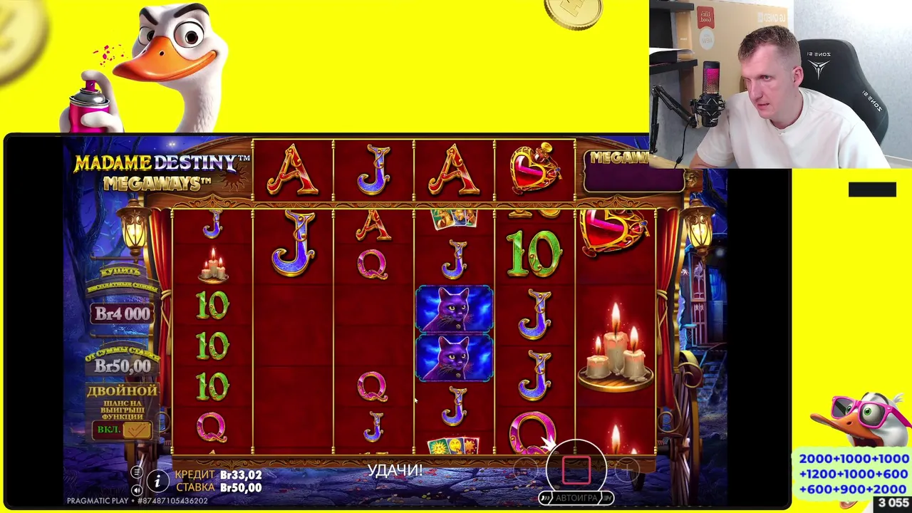JetbetUS live